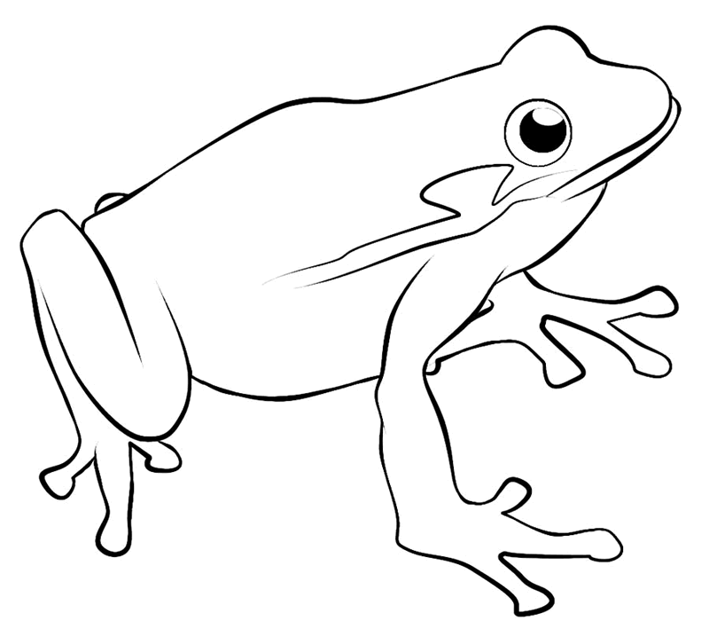 Frog Coloring Pages Free Animated Frog Free Frog Clip Art Frog    