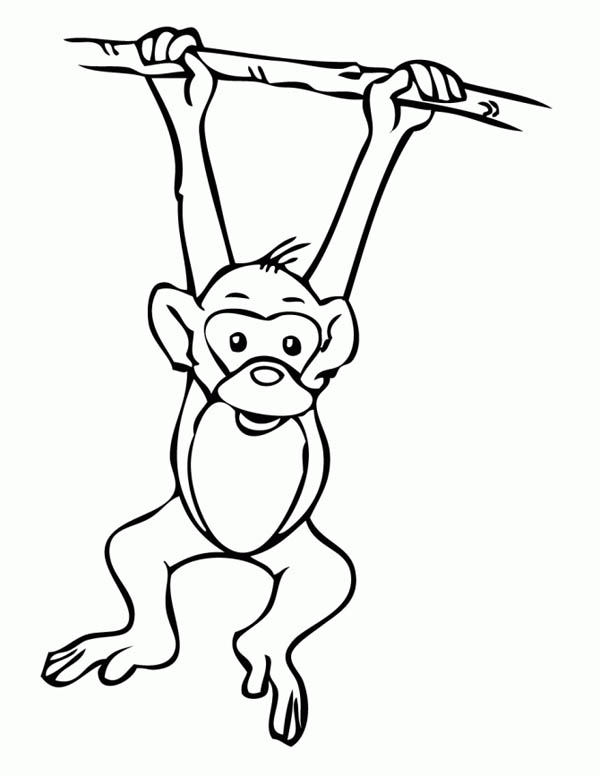 Hanging Monkey Template   Clipart Panda   Free Clipart Images