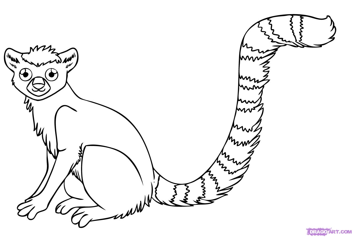 How To Draw A Lemur Step By Step Rainforest Animals Animals Free