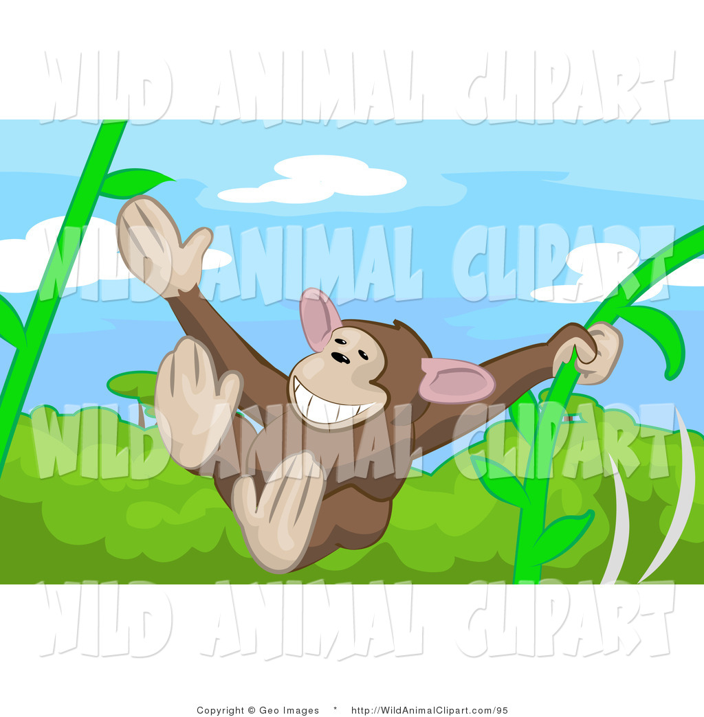 Of A Cute Brown Monkey Swinging On Vines In A Rainforest By Geo Images
