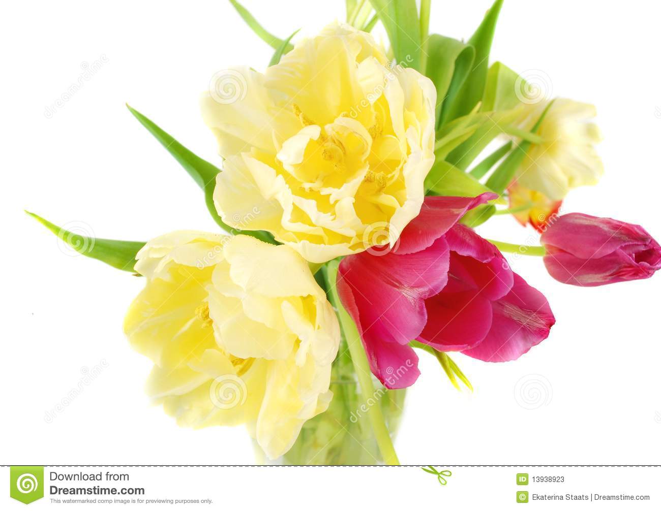 Tulips Bouquet In Glass Vase Stock Photos   Image  13938923