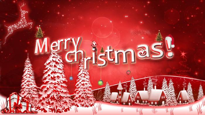 Warm Greetings For Your Christmas   Hope Speak