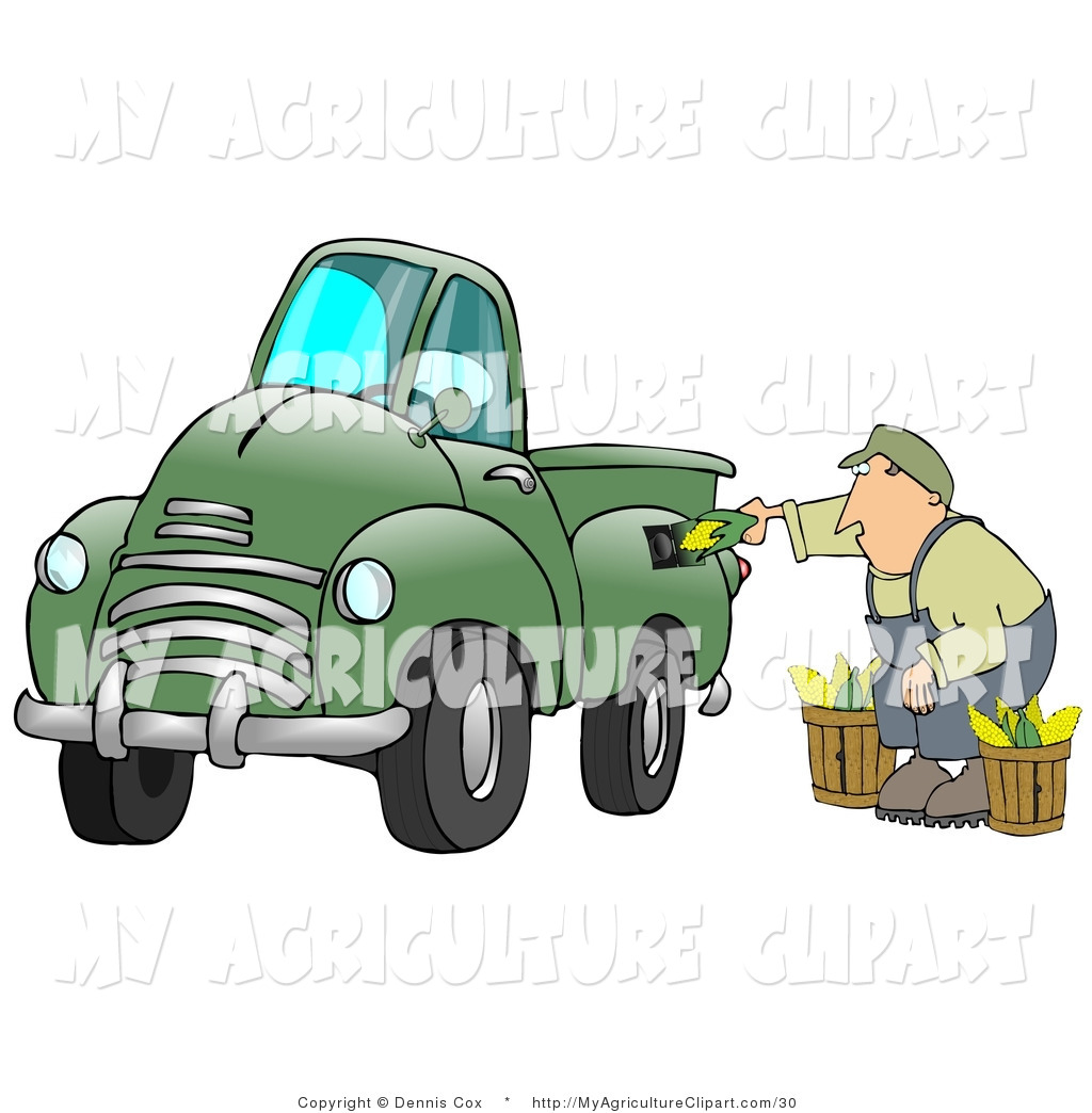 Agriculture Clipart Of A Man Crouching Down While Putting Ears Of Corn