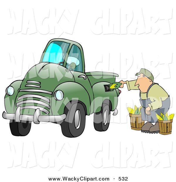 Clipart Of A Caucasian Man Crouching While Putting Ears Of Corn Into A    