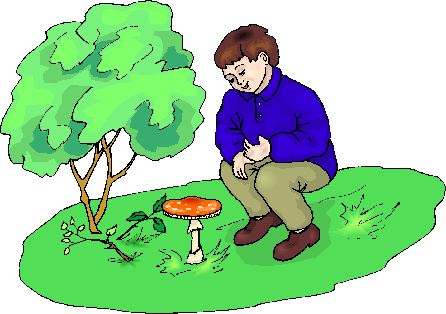 Boy Observe Mushrooms Free Clipart   Free Microsoft Clipart