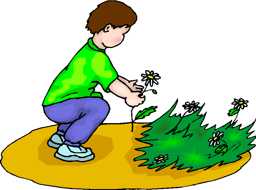 Boy Picking Flowers Free Clipart   Free Microsoft Clipart