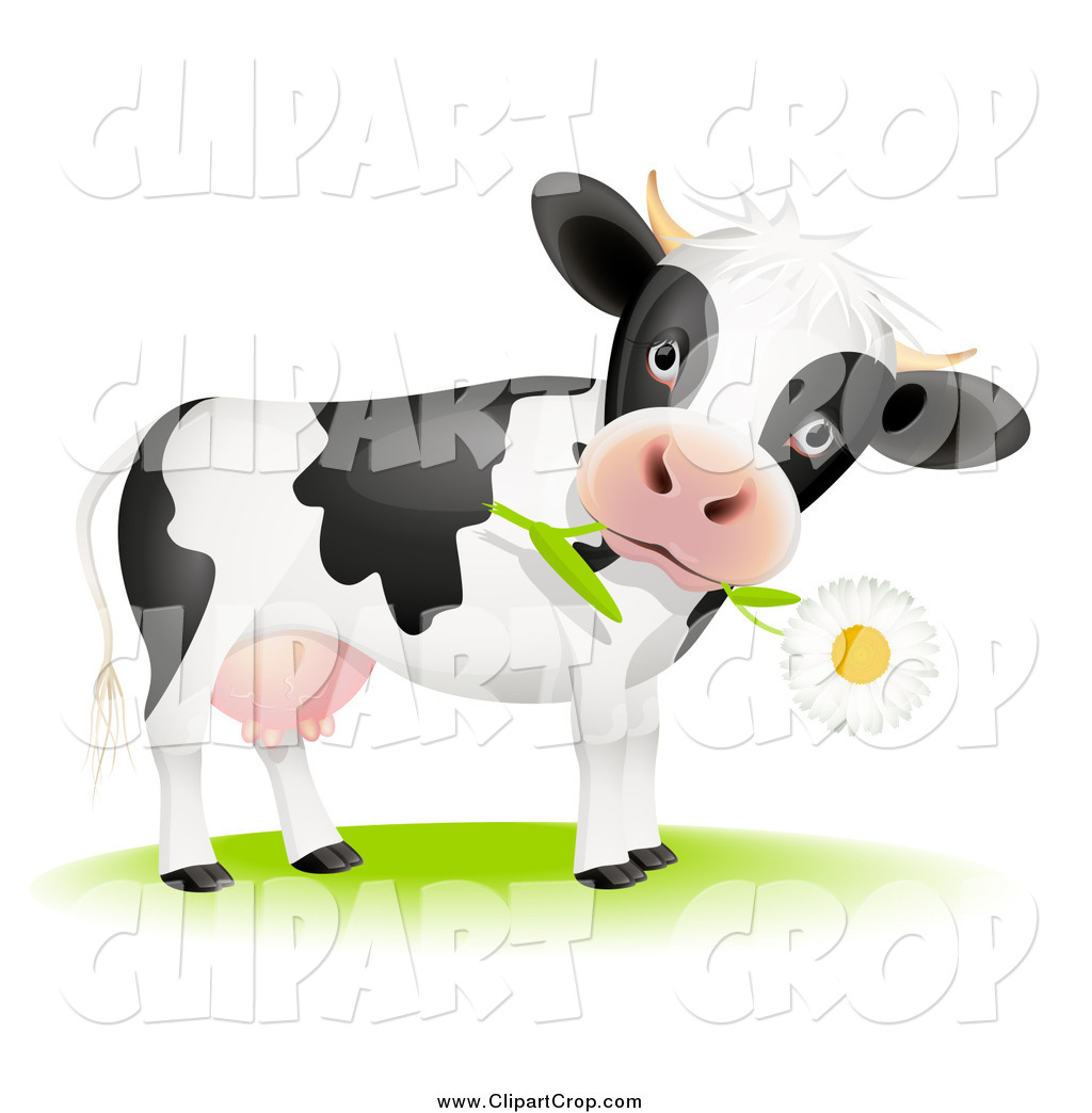 Cute Cow Eating A Daisy Flower In Its Mouth Cow Face In A Rope Circle