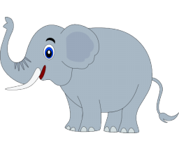 Elephant7