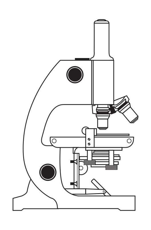 Microscope Without Coloring By Rejon   This Is Clipart Converted And