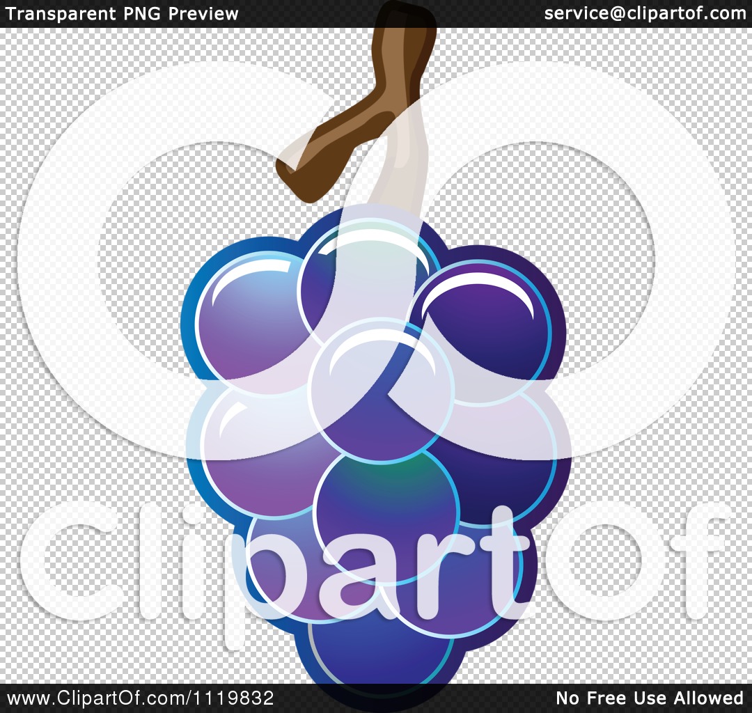 Cartoon Of A Bunch Of Shiny Purple Grapes Royalty Free Vector Clipart