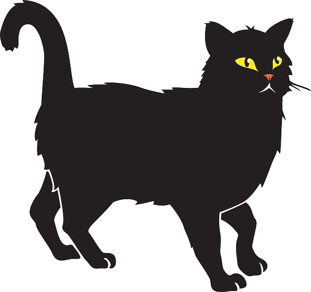 Cat Black Halloween Pet Animal Tail Whiskers