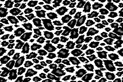 Cheetah Print Black And White Clipart