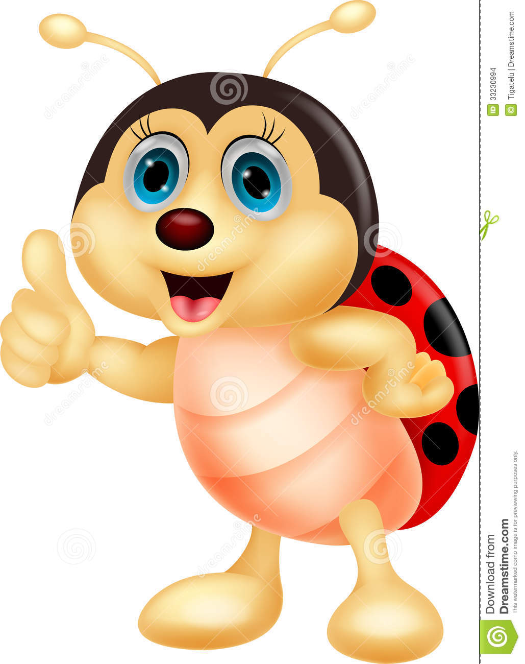 Cute Ladybug Cartoon Thumb Up Stock Images   Image  33230994