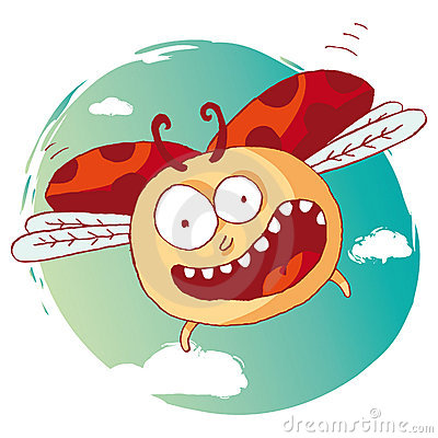 Funny Ladybug Royalty Free Stock Images   Image  20981529
