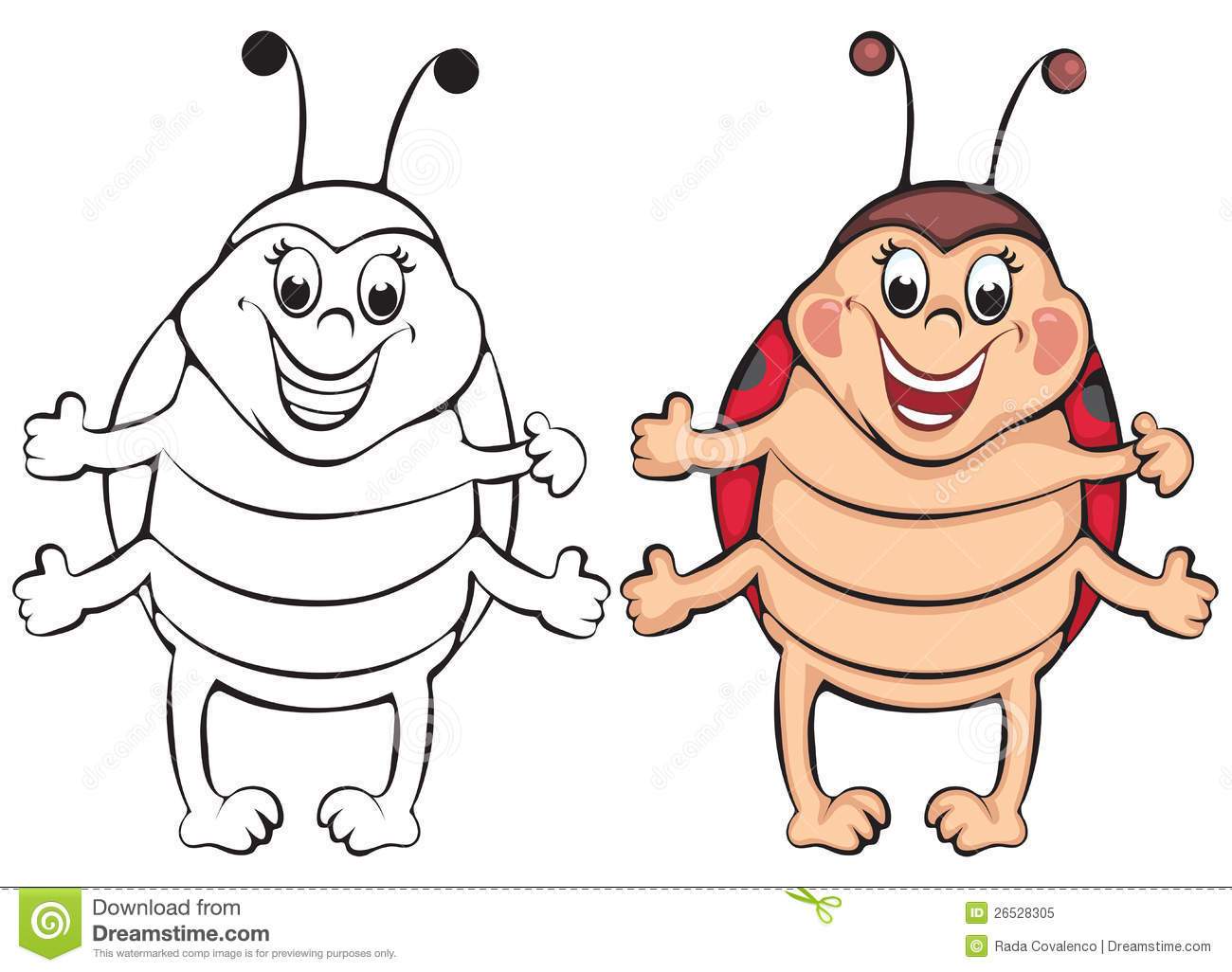 Funny Ladybug Royalty Free Stock Photo   Image  26528305