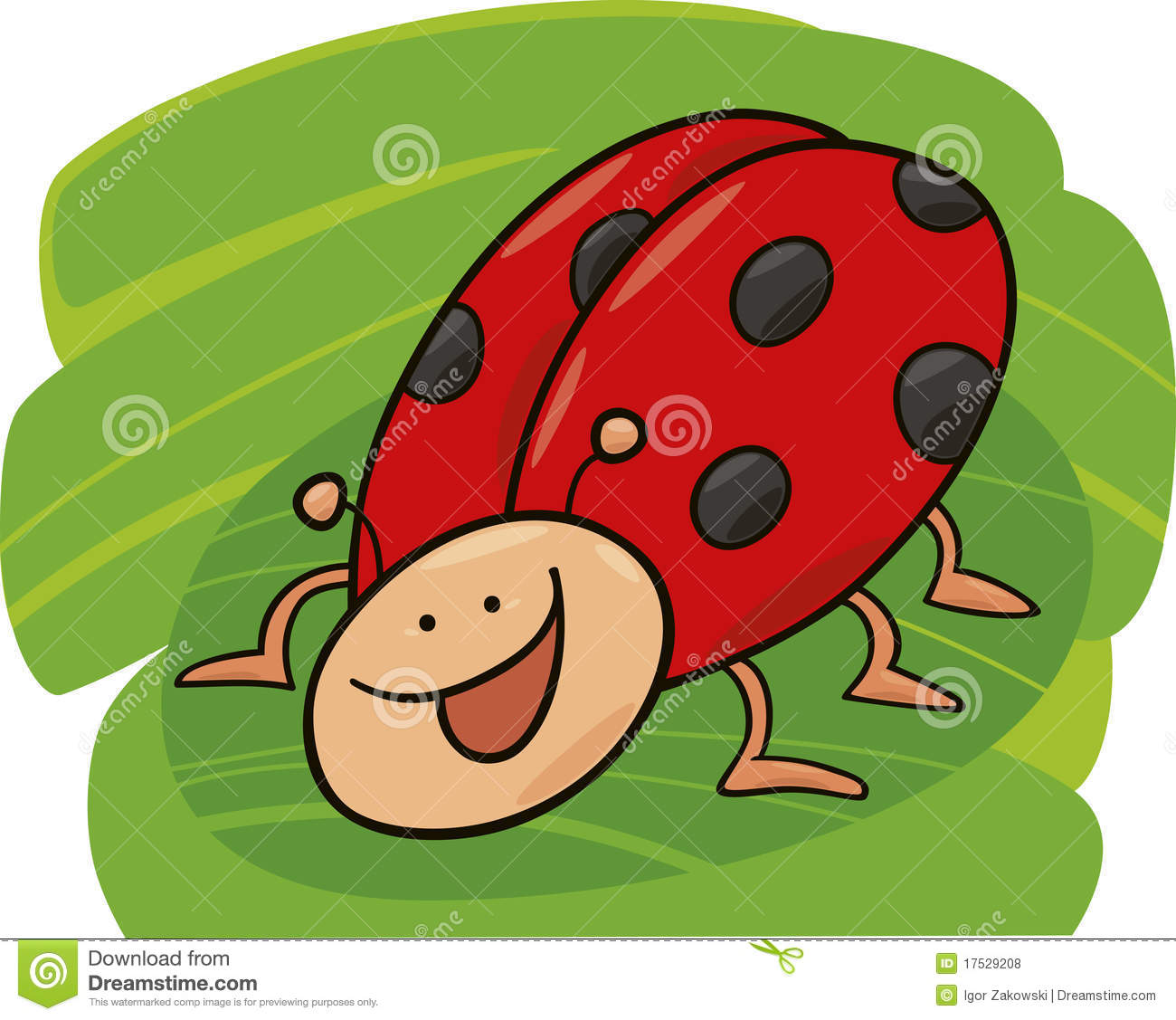 Funny Ladybug Royalty Free Stock Photos   Image  17529208