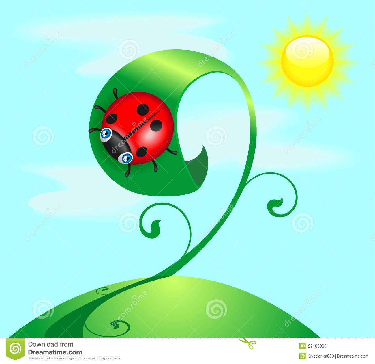 Funny Ladybug Stock Photos   Image  27188993