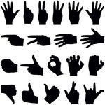 Hand Collection Vector Silhouette Hand Collection Vector Line