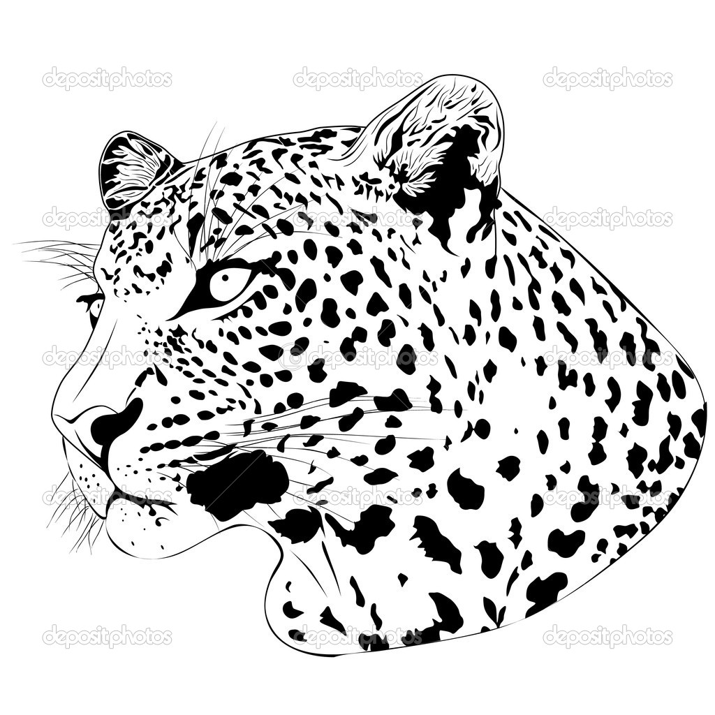 Leopard Tattoo   Stock Vector   Flanker D  2363108