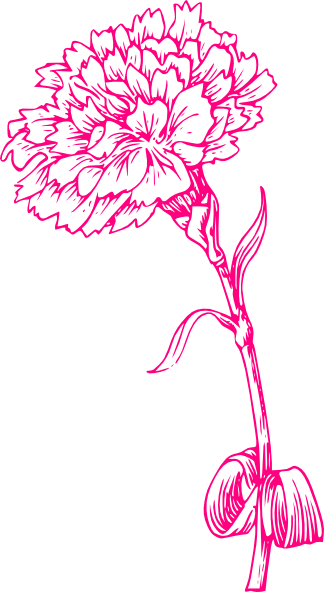 Pink Carnation Clip Art At Clker Com   Vector Clip Art Online Royalty