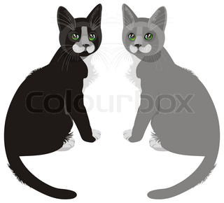Zwei Katzen Sitzen In Der N He   Schwarz Und Grau