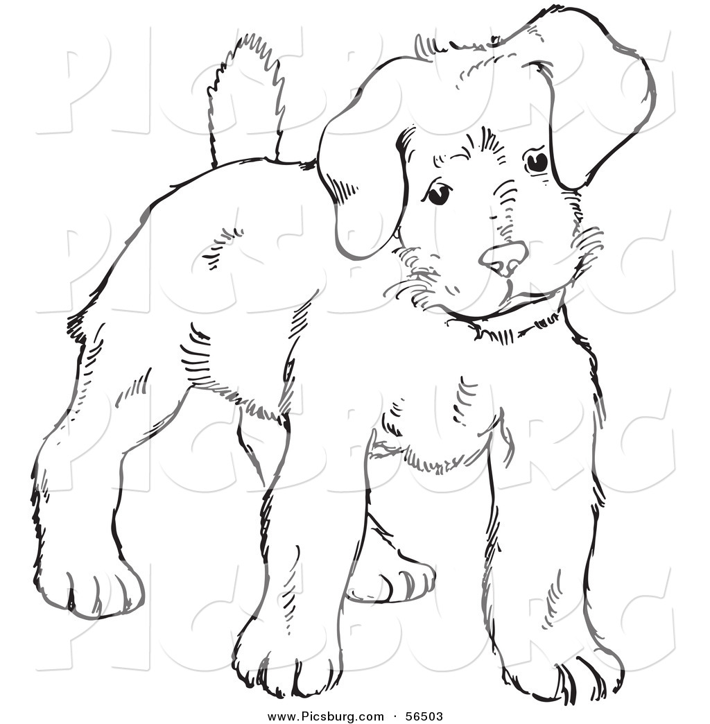 Clip Art Of A Puppy Dog Looking Alert Black And White Line Art By