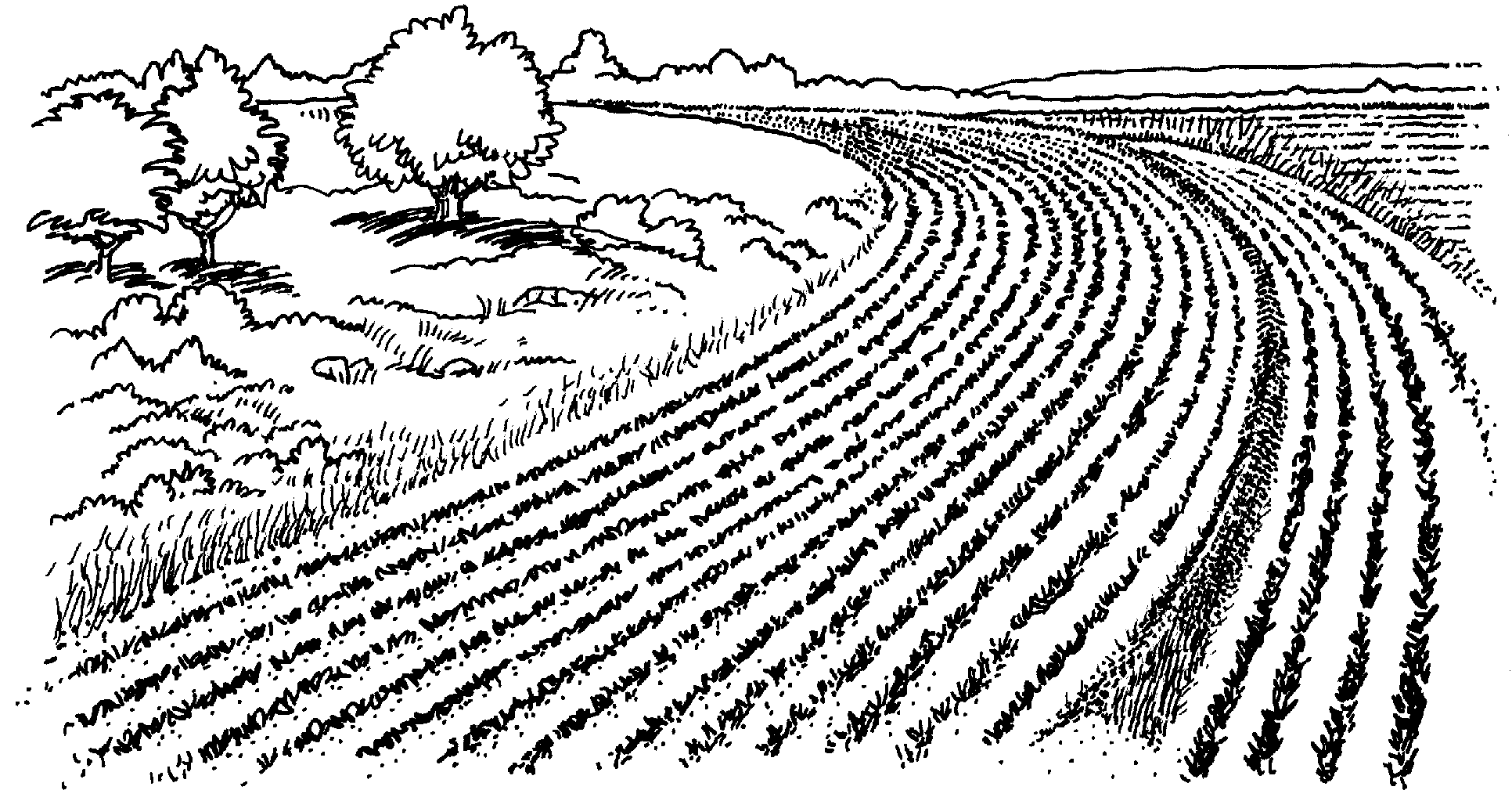 Farm Fields