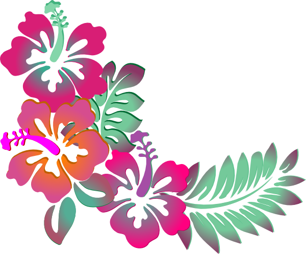 Hawaiian Flower Clip Art Borders   Clipart Panda   Free Clipart Images