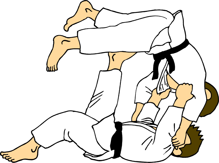 Judo Ju Jitsu Club De Lys Lez Lannoy
