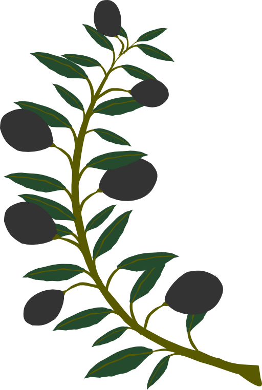 Olive Branch Black Olive Clipart Royalty Free Public       Clipart
