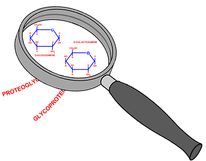 Base In Chemestry Clipart