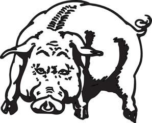 Boar Clip Art   Animal   Download Vector Clip Art Online