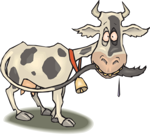 Cow Chewing Tail Clip Art At Clker Com   Vector Clip Art Online    
