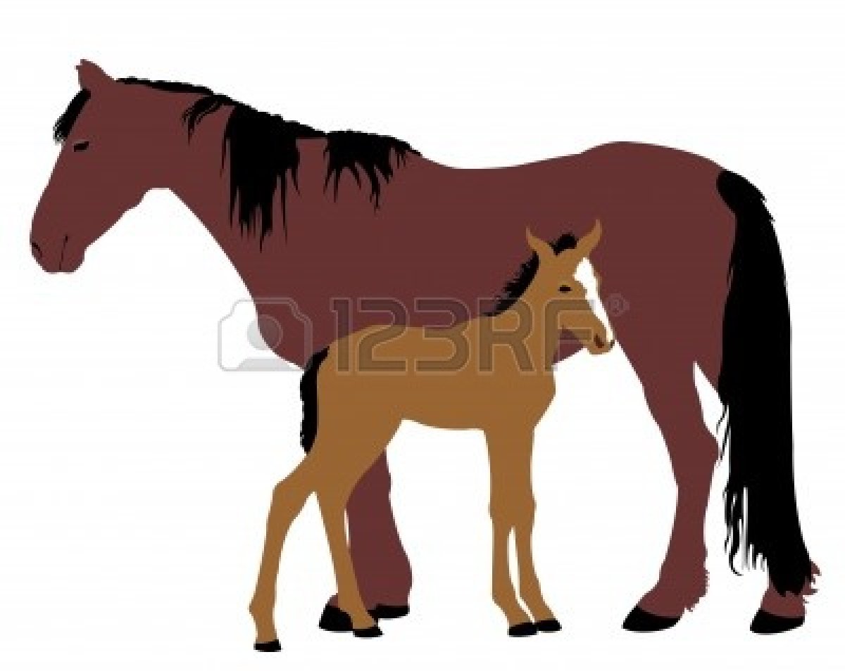 Foal Clipart   Clipart Panda Free Clipart Images