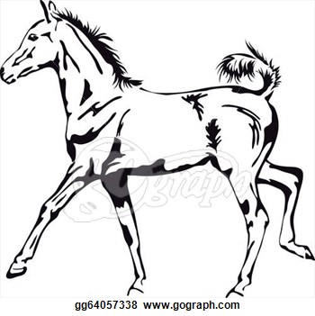 Foal Clipart   Clipart Panda   Free Clipart Images