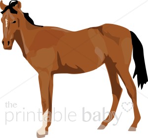 Foal Clipart   Cowboy Baby Clipart