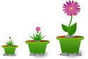 Growing Plant Clipart   Cliparthut   Free Clipart