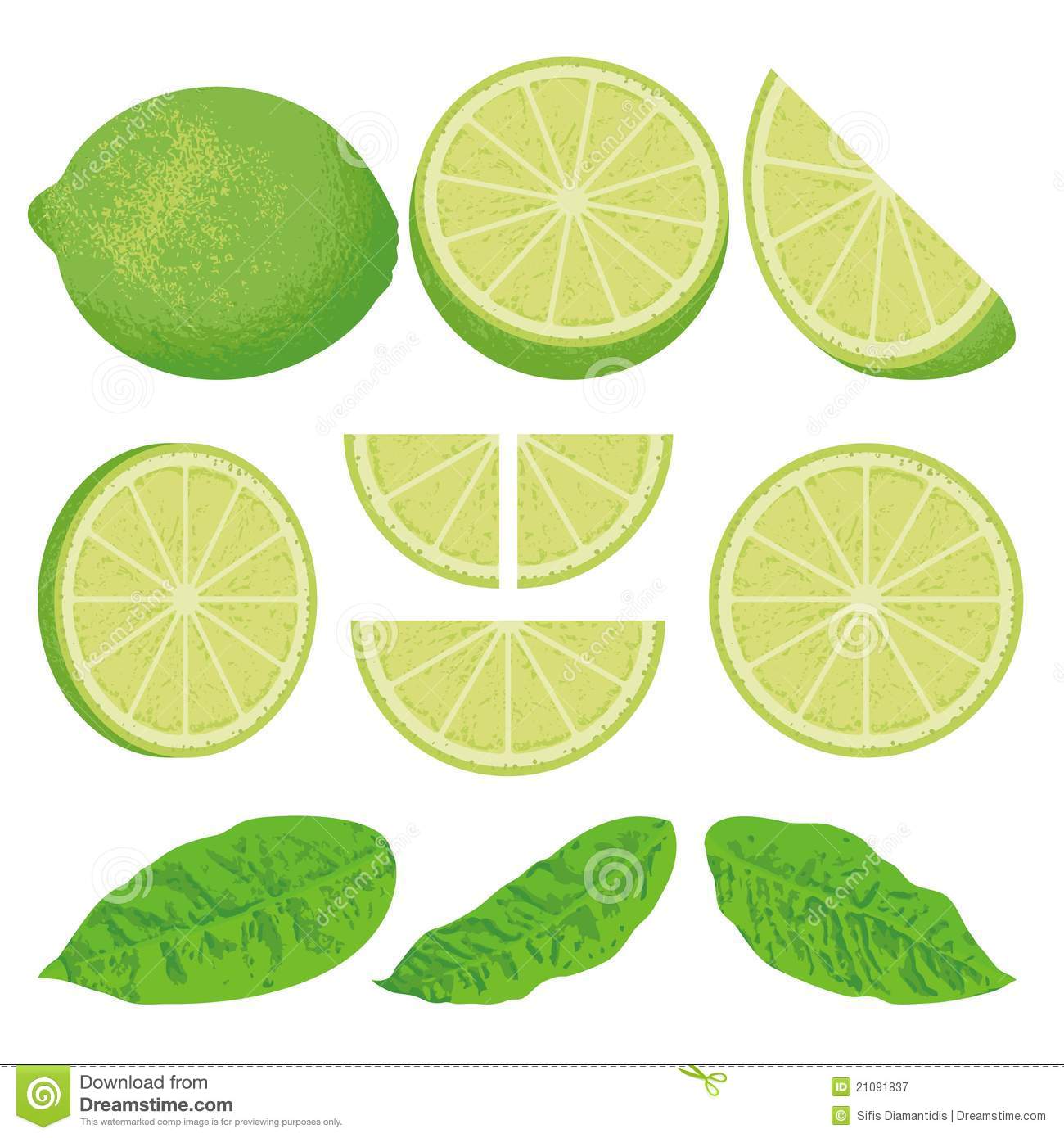 Key Lime Clip Art Lime