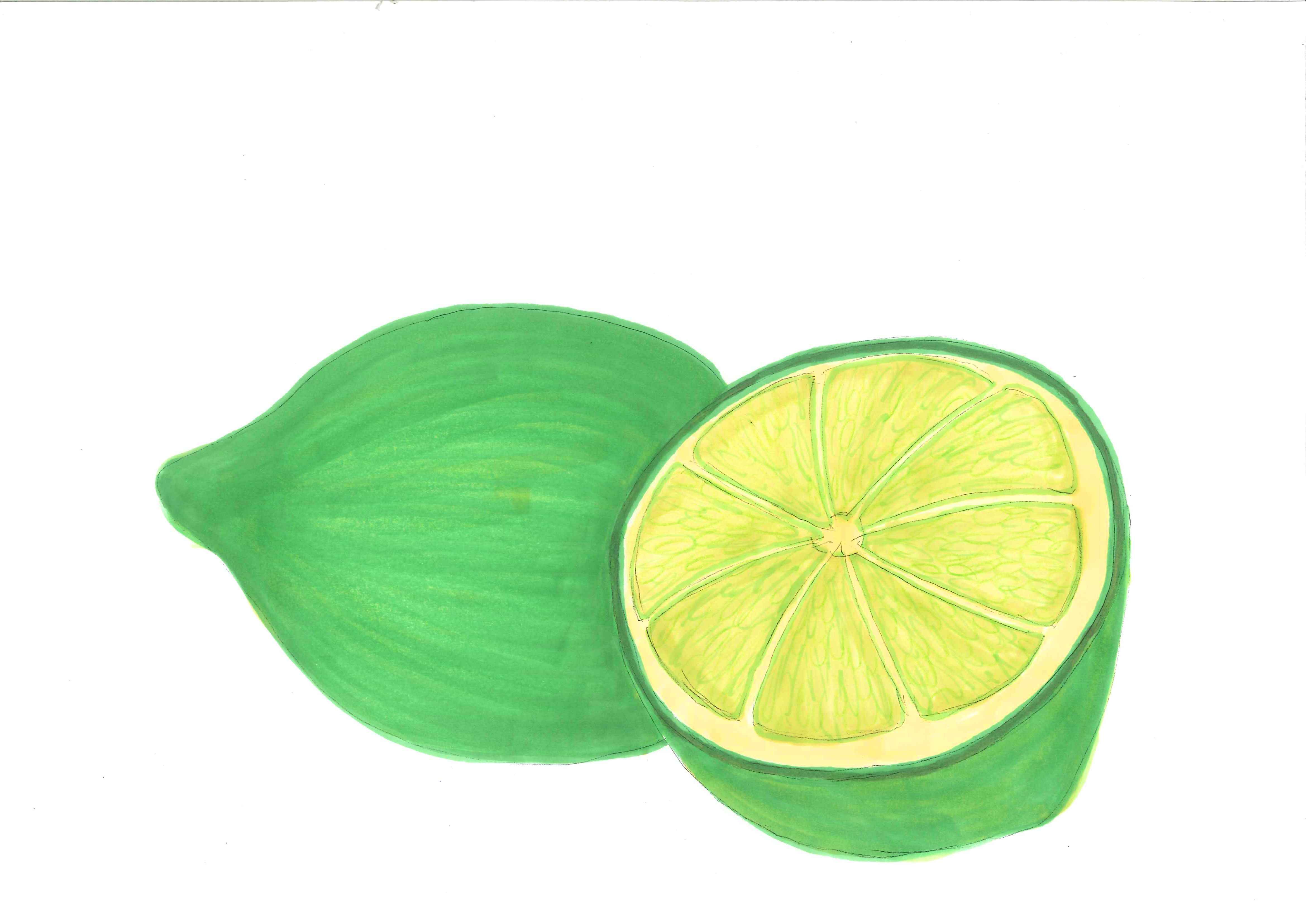 Lime Clip Art Clip Art Fruits By Stephanie