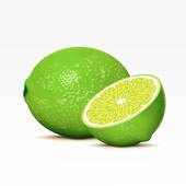 Lime Clipart And Stock Illustrations  2174 Lime Vector Eps