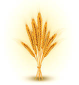 Pin Clipart Golden Sheaves Of Wheat Royalty Free Vector Illustration
