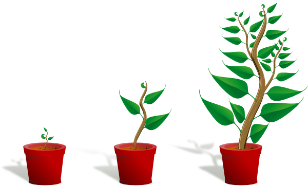 Plant Growth Clip Art At Clker Com   Vector Clip Art Online Royalty