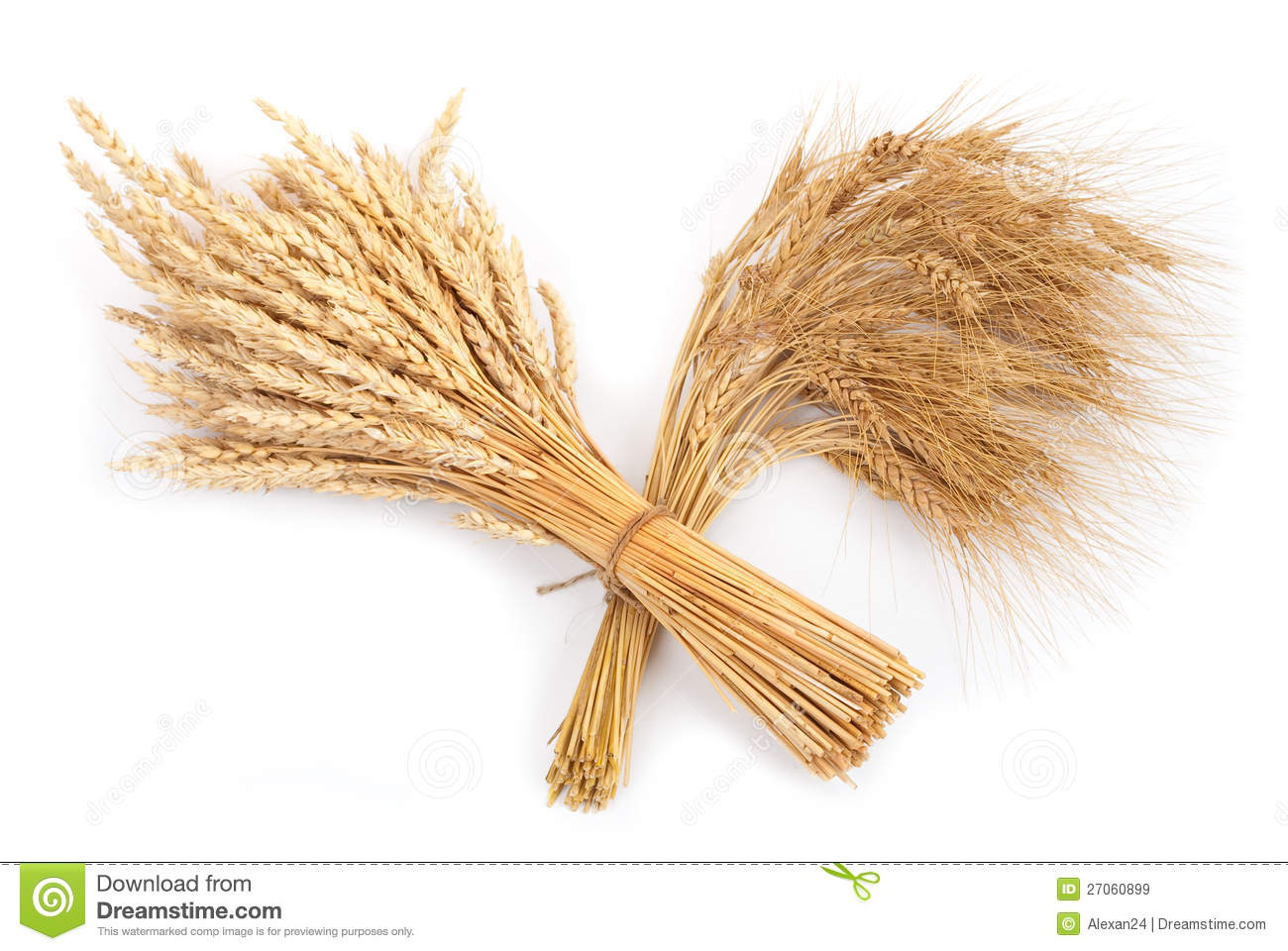 Sheaf Of Wheat And Rye Royalty Free Stock Images   Image  27060899