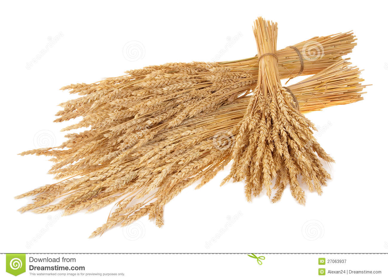 Sheaves Of Wheat Royalty Free Stock Photography   Image  27063937