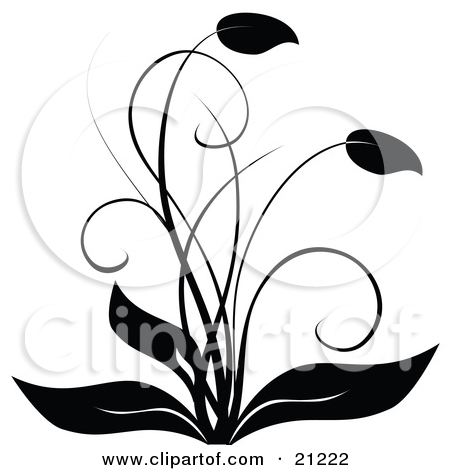 Clipart Illustration Of An Elegant Black And White Flourish Flowering