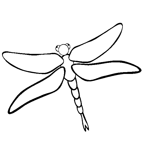 Cute Dragonfly Drawing   Quoteko    Clipart Best   Clipart Best
