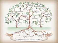Family Tree Roots On Pinterest   Family Trees Adoption And Family    