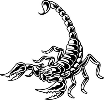 Scorpion Clipart   Clipart Best