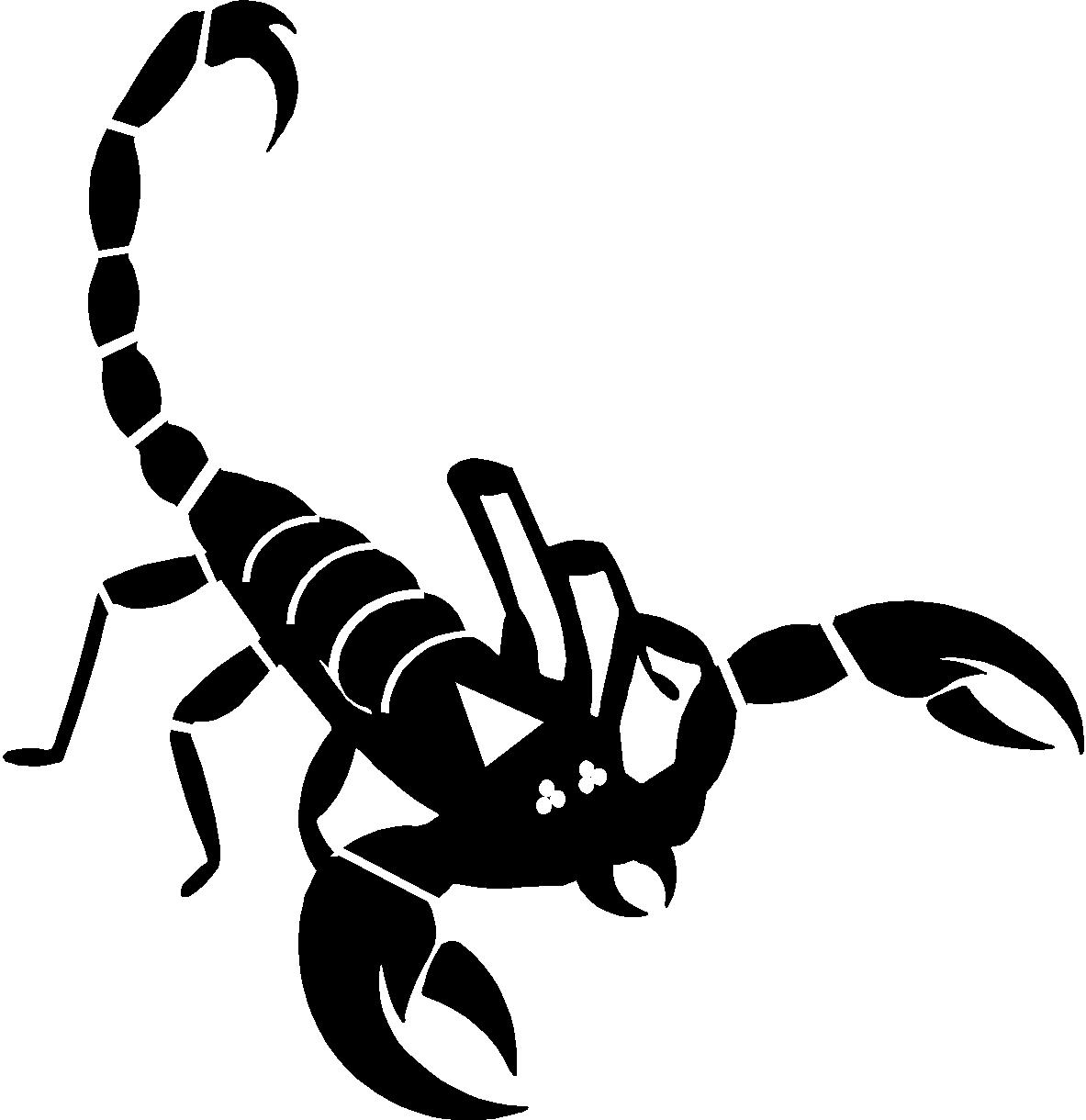 Scorpion   Free Images At Clker Com   Vector Clip Art Online Royalty