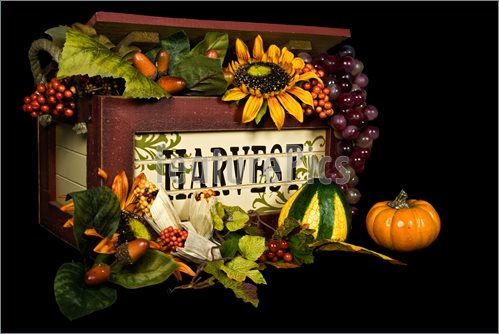 Bountiful Harvest Photo  Royalty Free Image At Featurepics Com